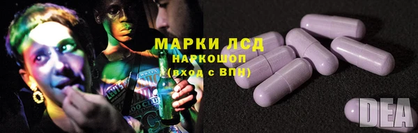 apvp Магас