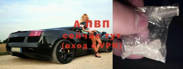 прущие крисы Магадан