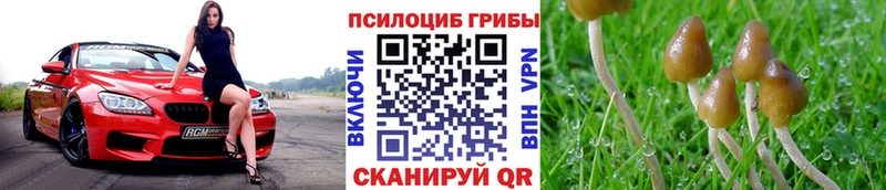 купить наркотик  Ярцево  Галлюциногенные грибы ЛСД 