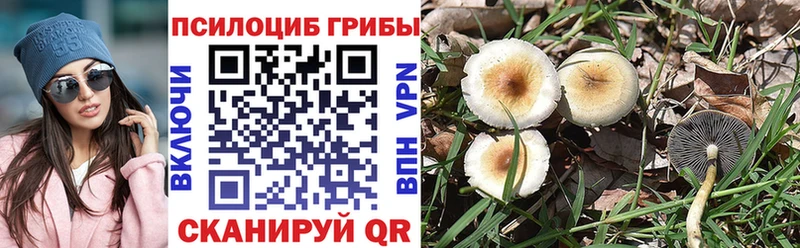 Псилоцибиновые грибы ЛСД Ярцево
